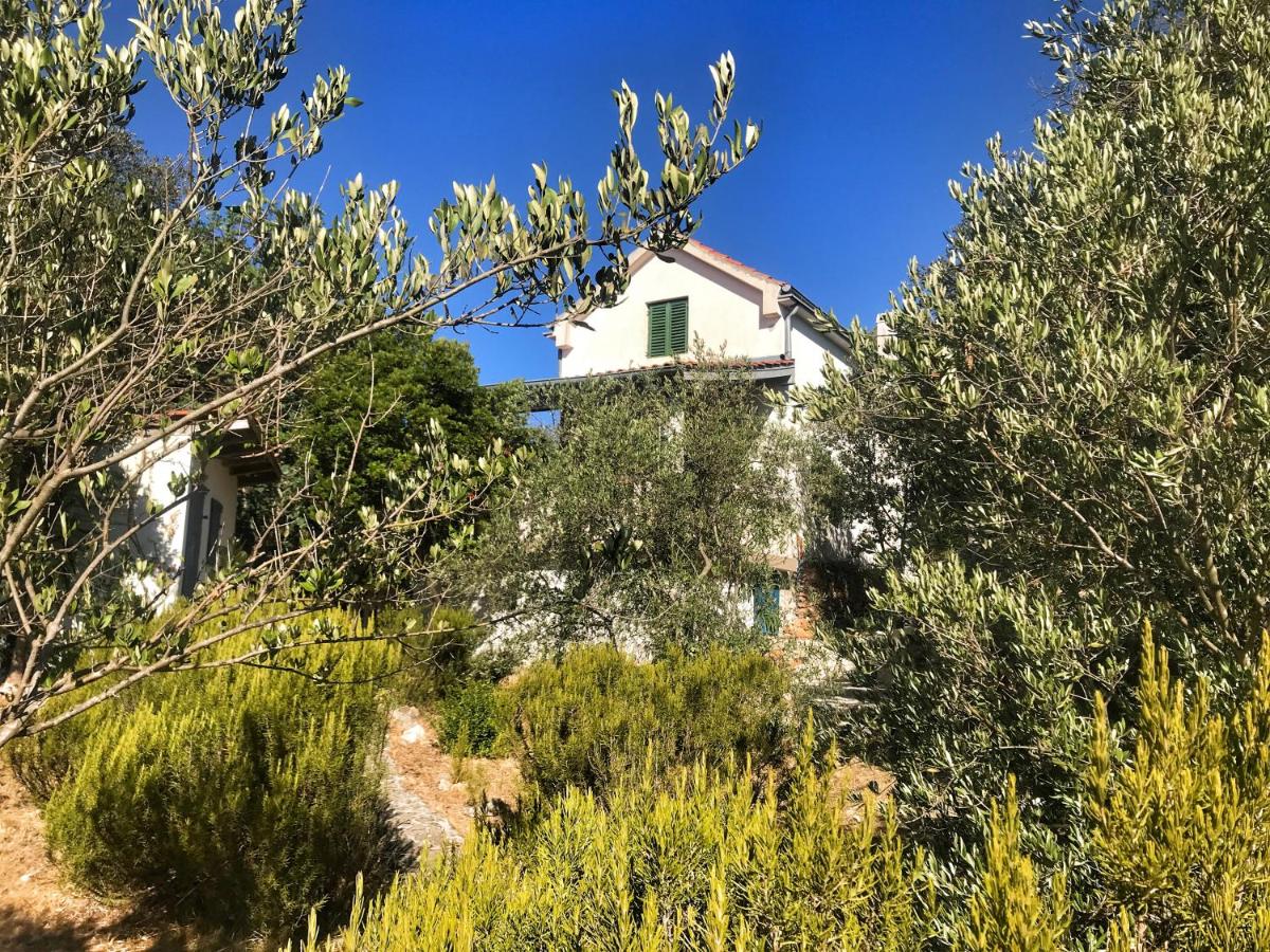 Charming holiday beachfront house - Housity