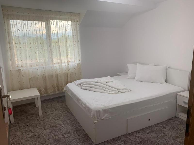 Pensiunea Floare de Colt - Housity