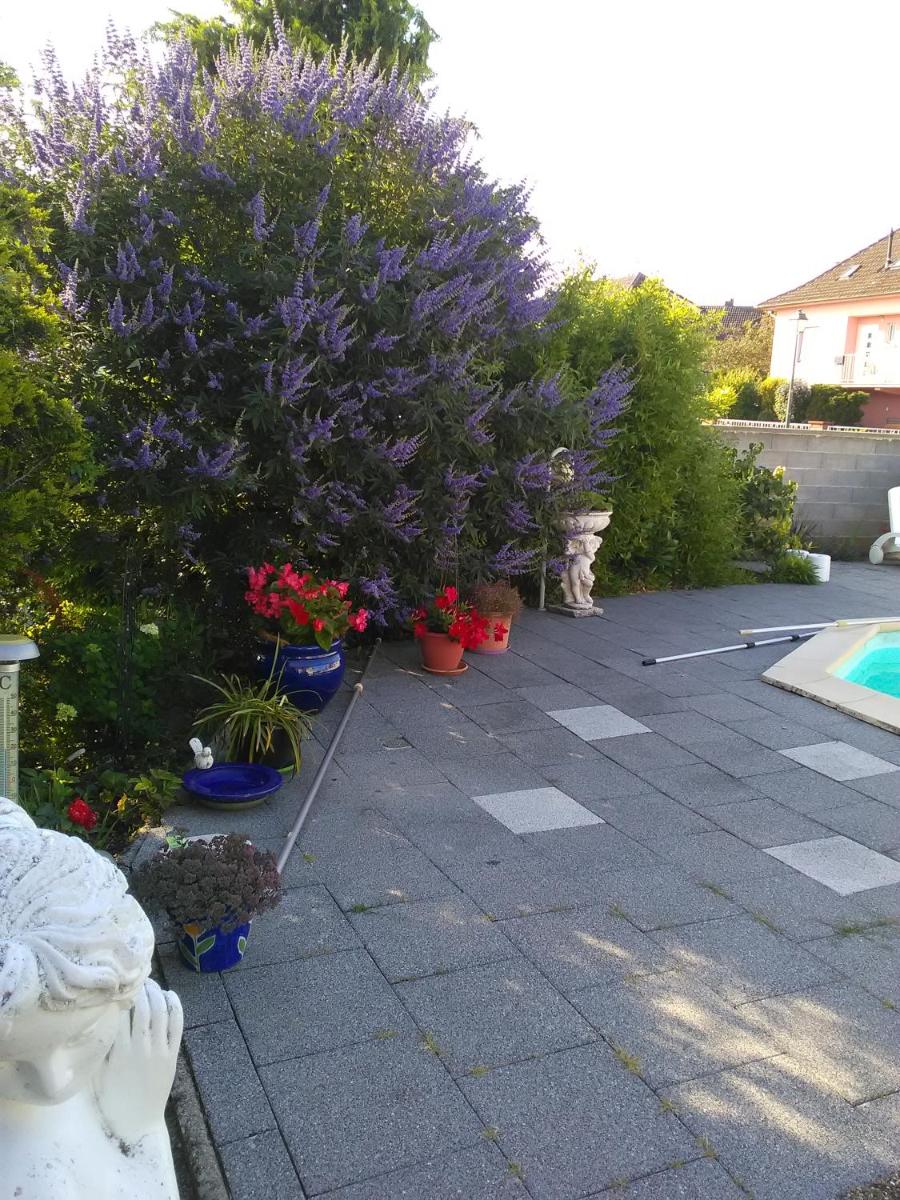 annexe a une maison - Housity