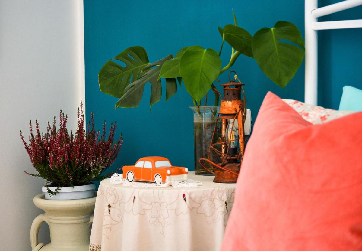 Casa Levante - Housity