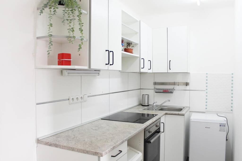 Apartmán Kopec, se zahrádkou - Housity