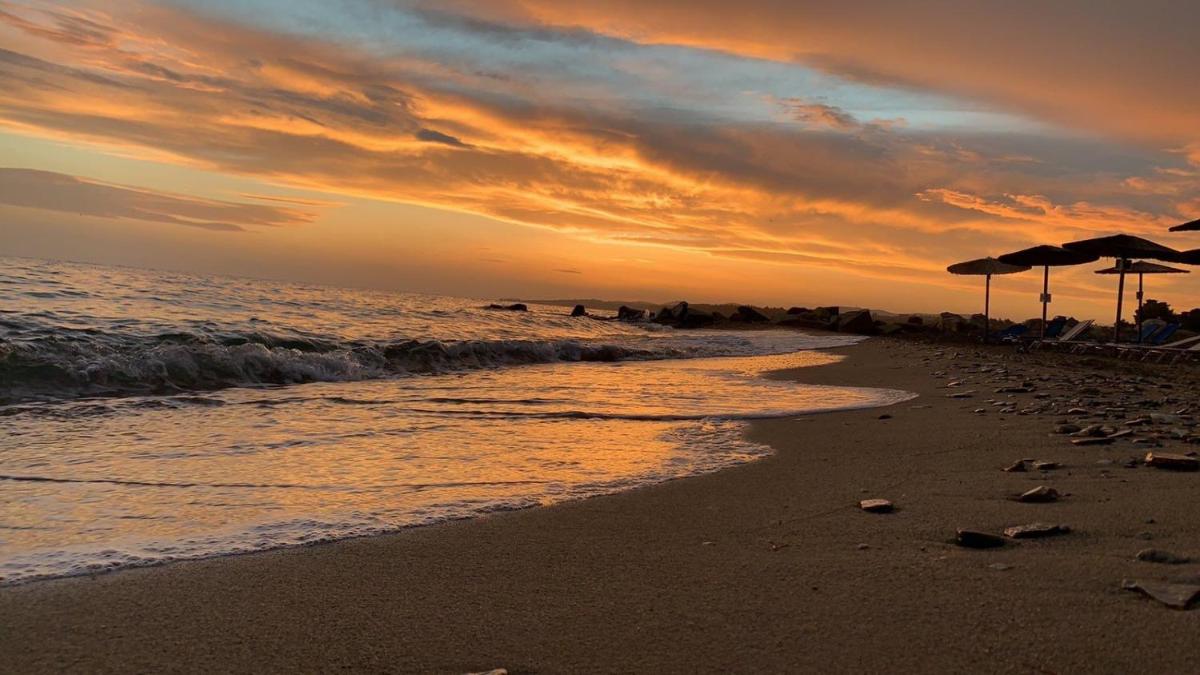 Royalty Suites Loft - Housity