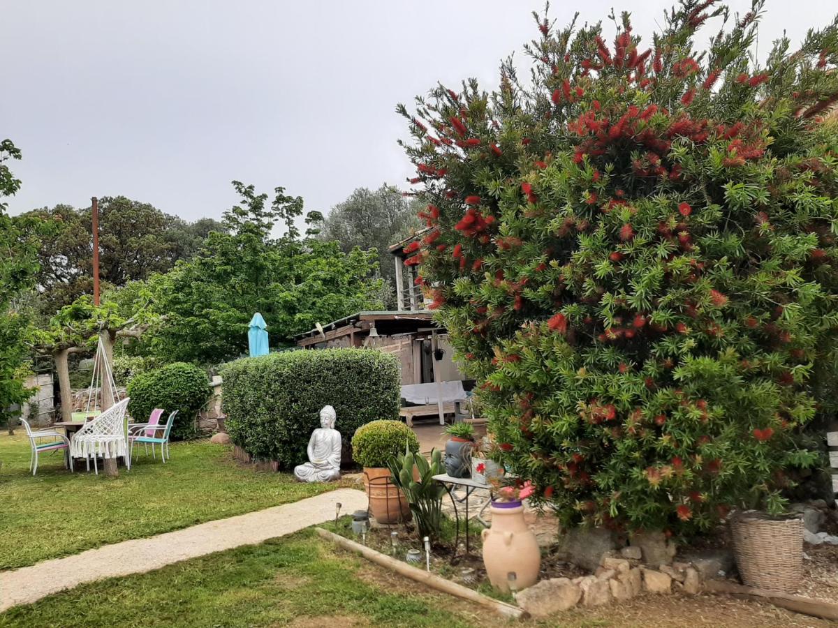 Orasi Sartène Chalet Casa Fiurita - Housity