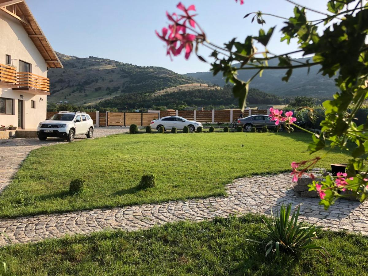 Plai Dobrogean - Housity
