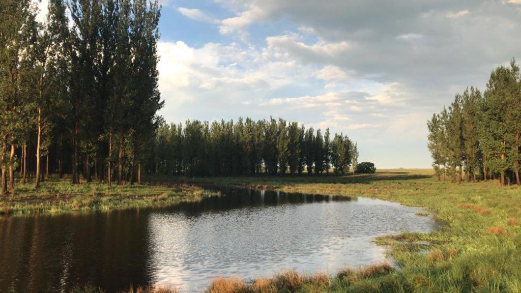 Vaalriet Chalet - Housity