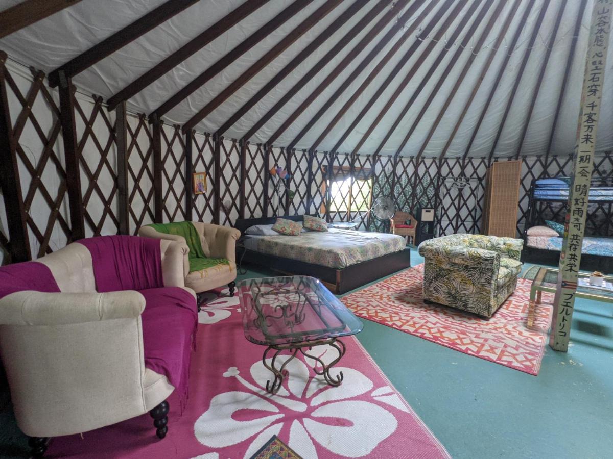 La Casa de Vida Natural - Housity