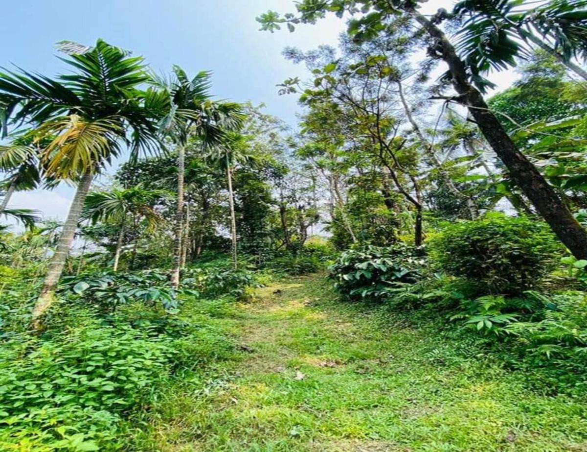 TripThrill Abay Green Valley Estate Stay - Housity