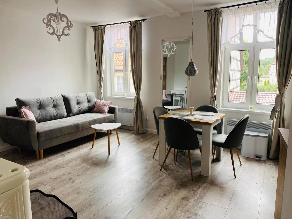 Apartament Kominkowy przy Parku - Housity