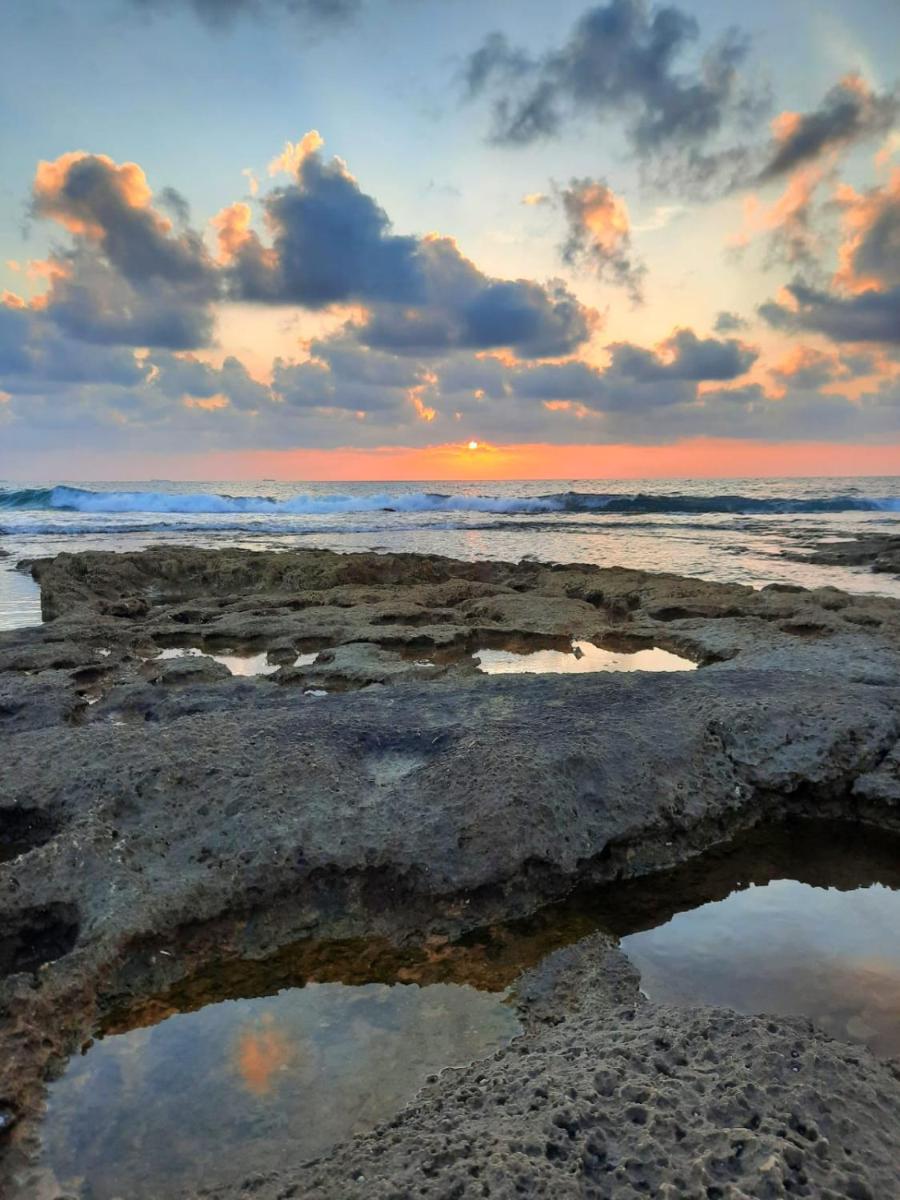 Superior place A place in nature - Housity