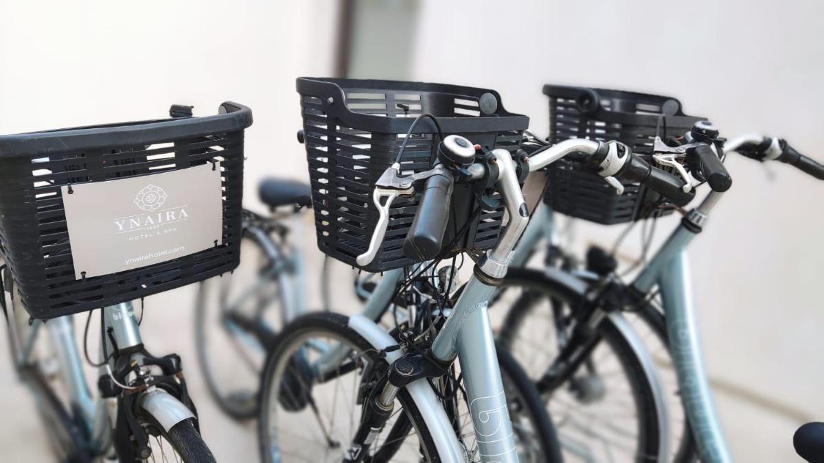 Montar en bicicleta en Ynaira hotel & Spa o alrededores