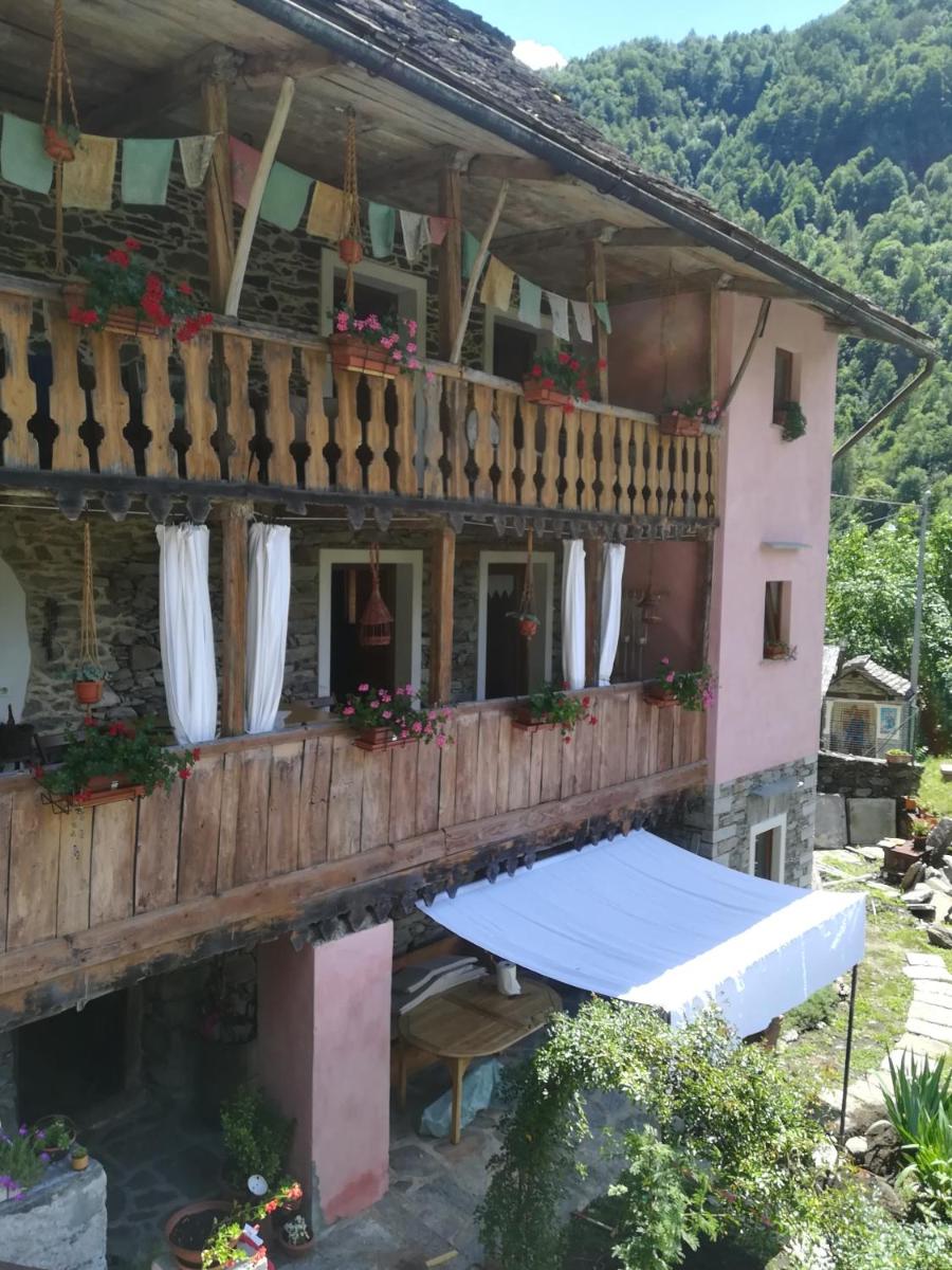 Shanty - Housity