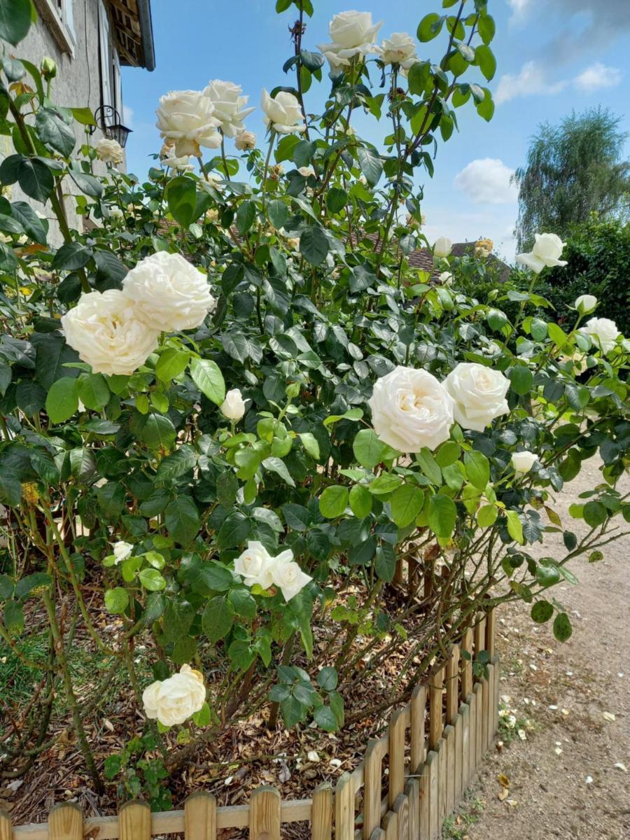 le domaine du chaffard - Housity