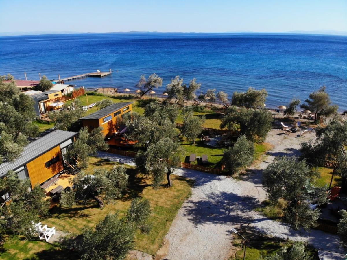 Modern Tiny House in Ayvacik - Housity
