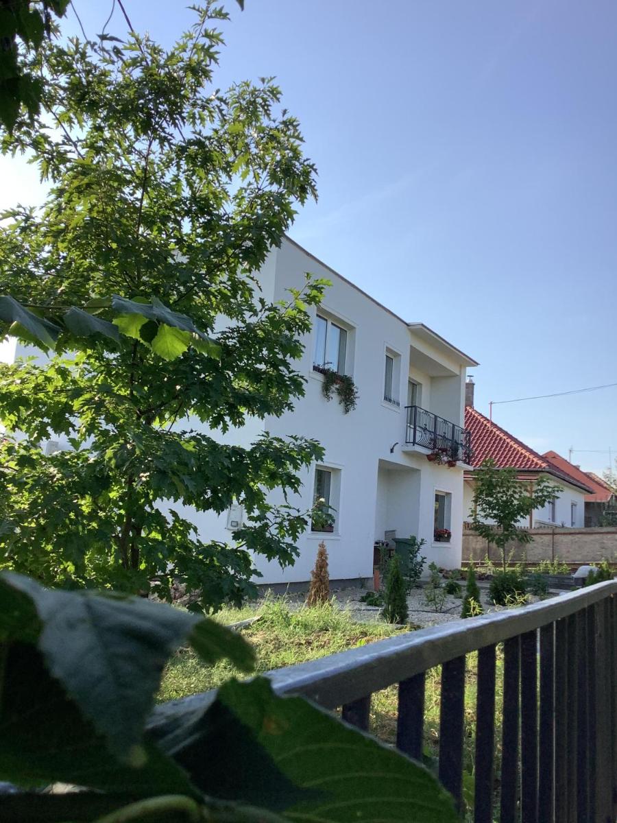 Nyúlászó Vendégház és Galéria - Housity