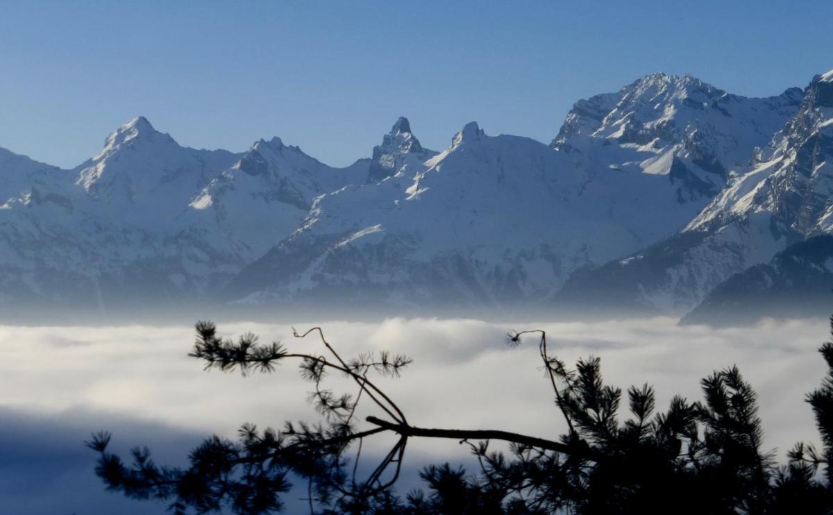 Chalet Faigaux - Housity