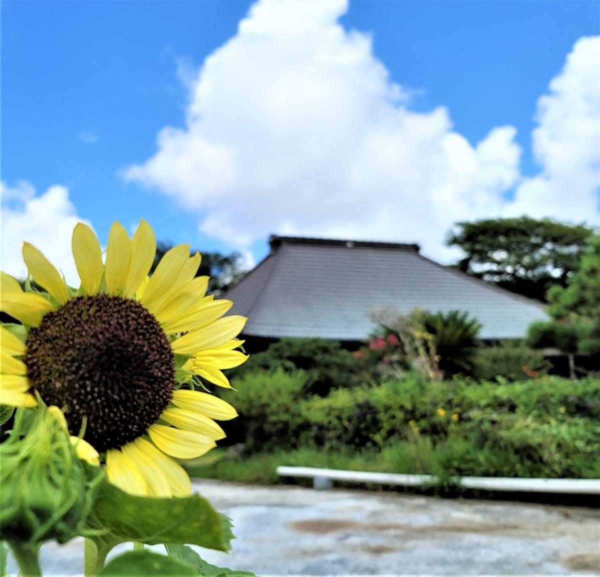Kominka Bijyutsukan Iioka - Vacation STAY 11927 - Housity