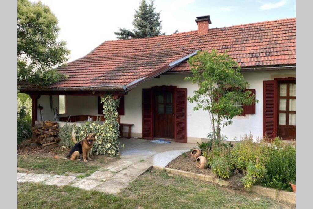 Oaza miru v sožitju z naravo - Housity