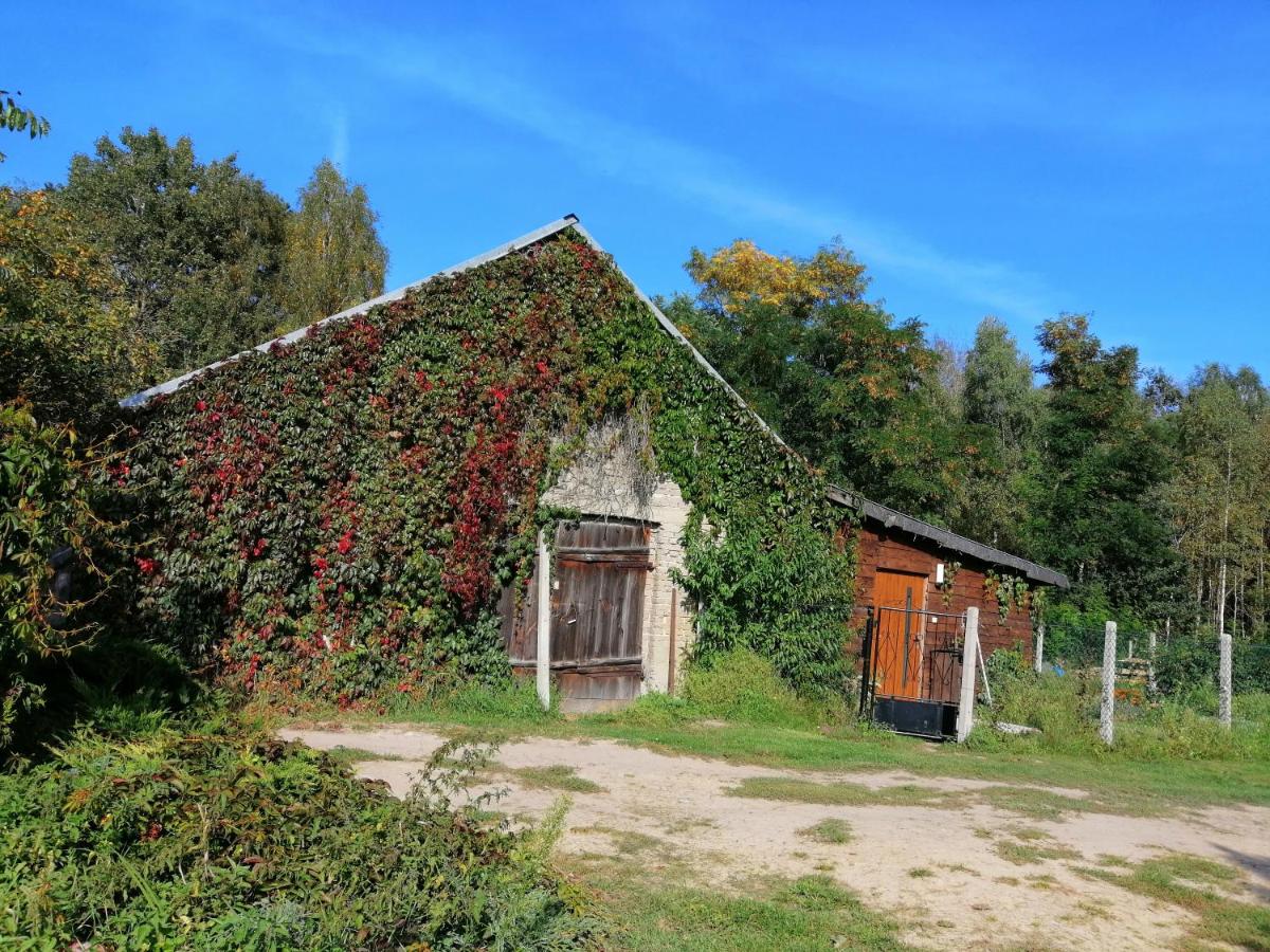 Agroturystyka Wiski 66 - Housity