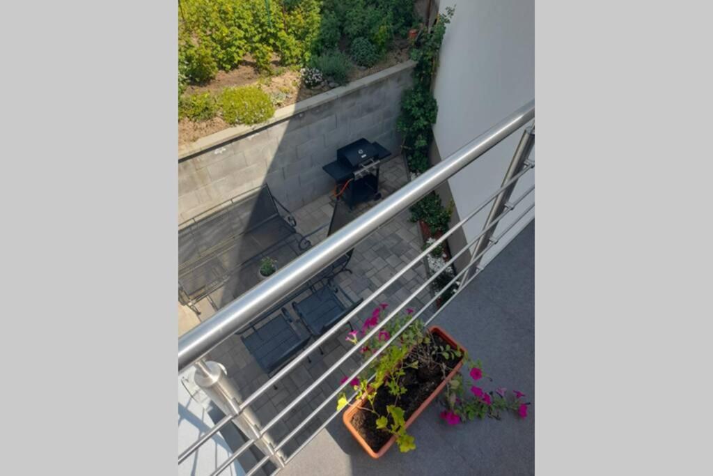 Domek Verunka v malebné vesničce na Jižní Moravě - Housity