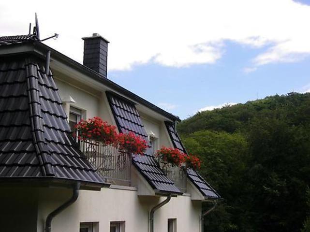 Weisses-Haus-am-Kurpark-Fewo-Bergblick - Housity