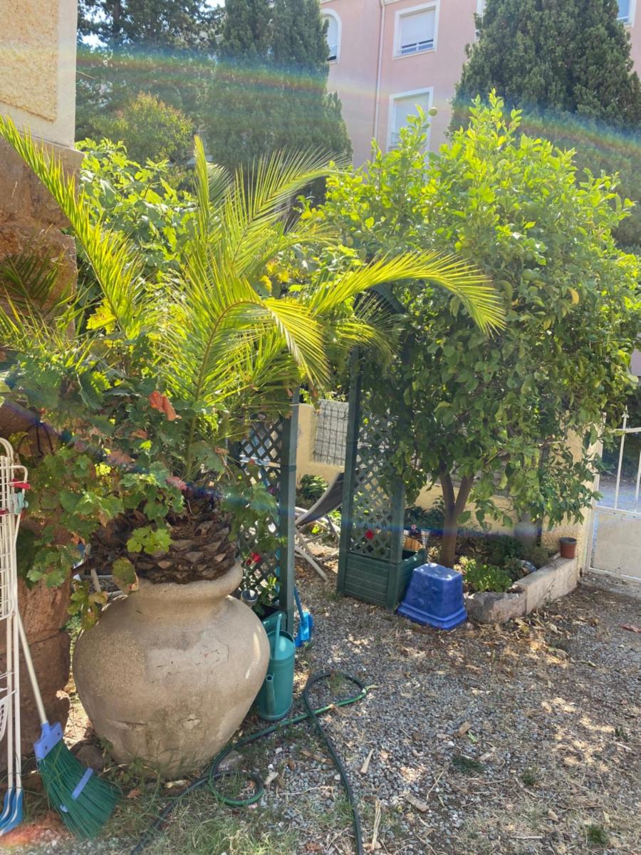 Jardin d’eden - Housity