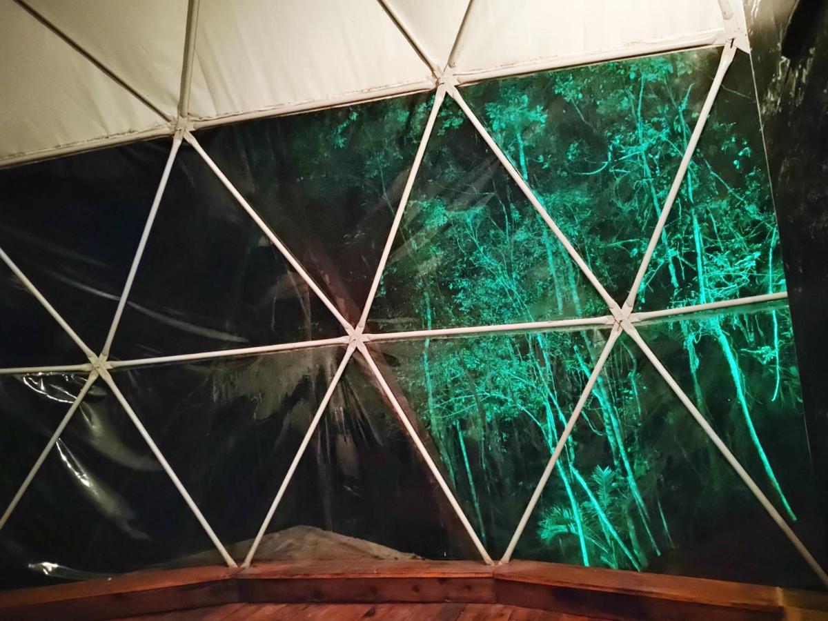 Jângala Glamping Natureza - Housity