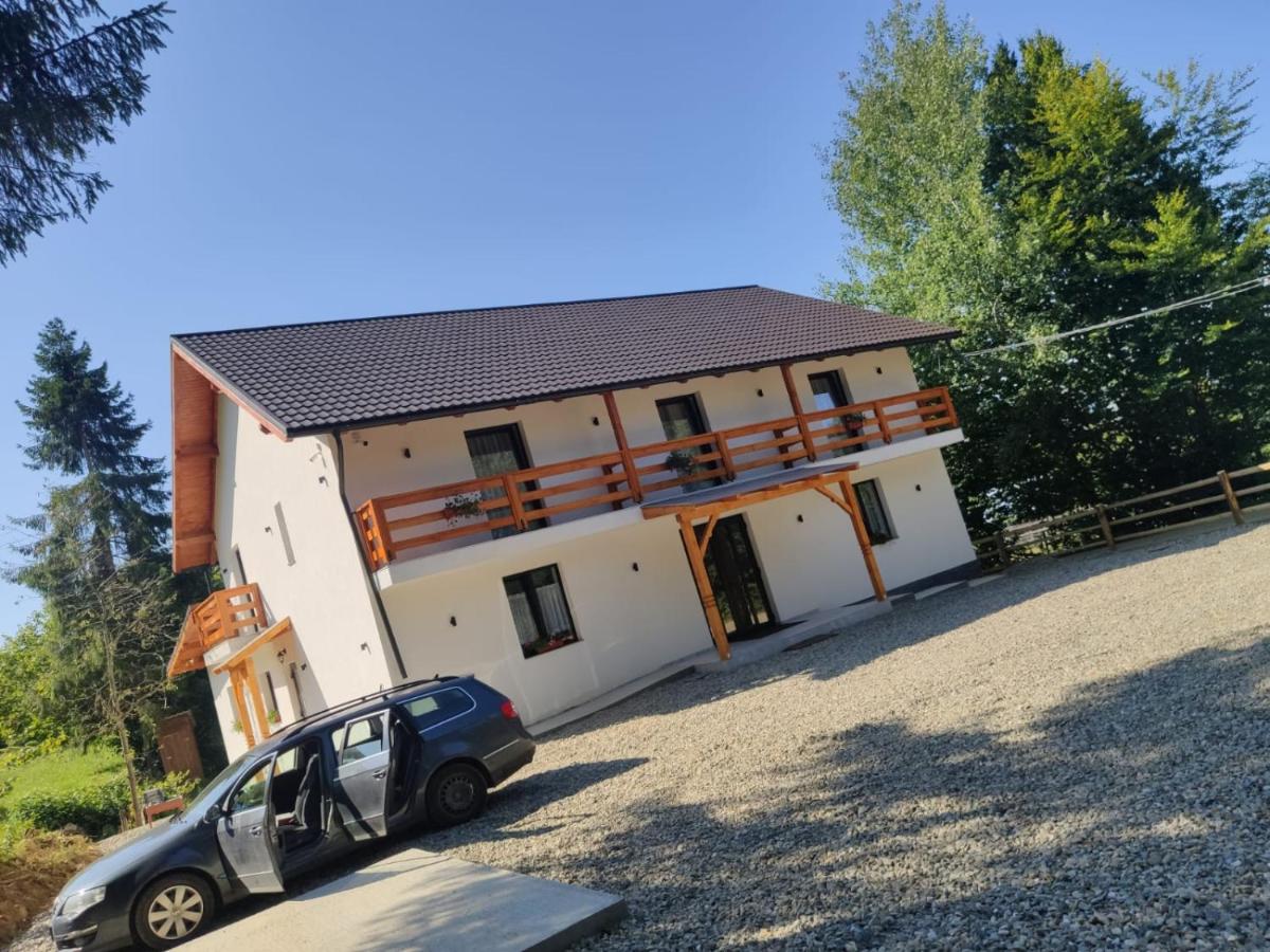 Pensiunea Teodora - Housity