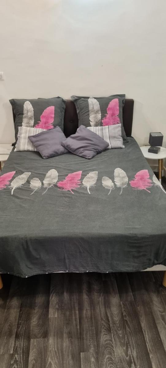 Studio Rue Fesch - Vieille Ville - Hizvo