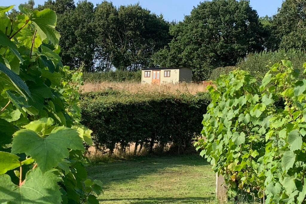 Idyllic Shepherds Hut, Bylaugh, in private wildflower meadow - Housity