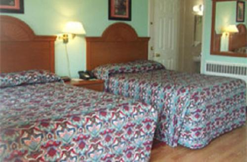 Robin Hood Motel - Housity
