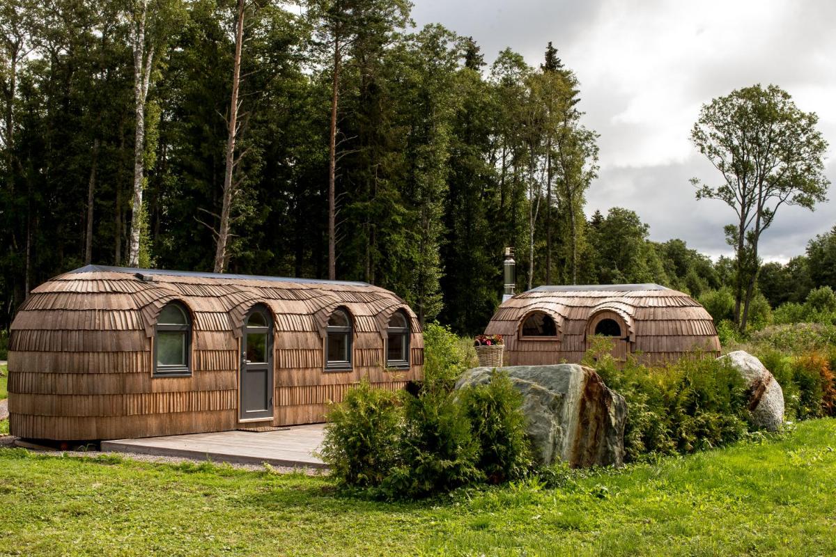 Kuldallika igloo house and iglusauna - Housity