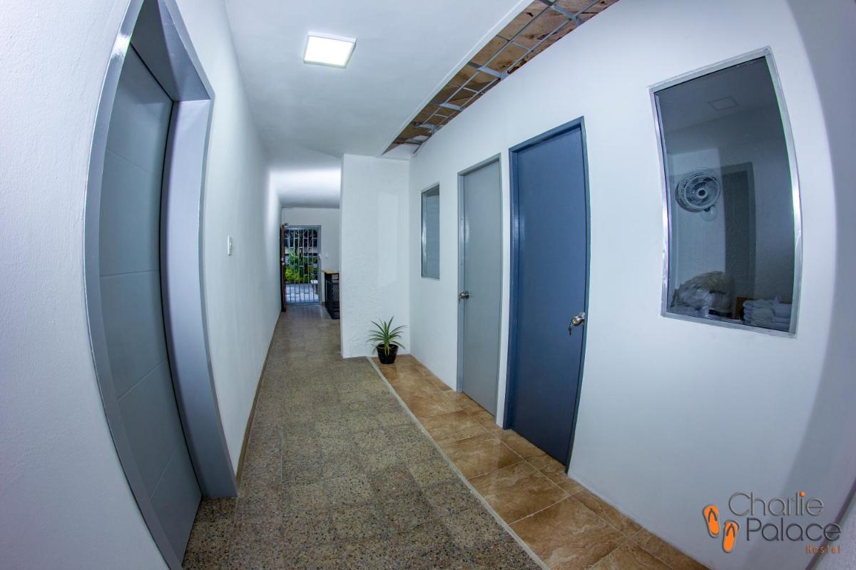 Charlie Palace Hostel - Housity
