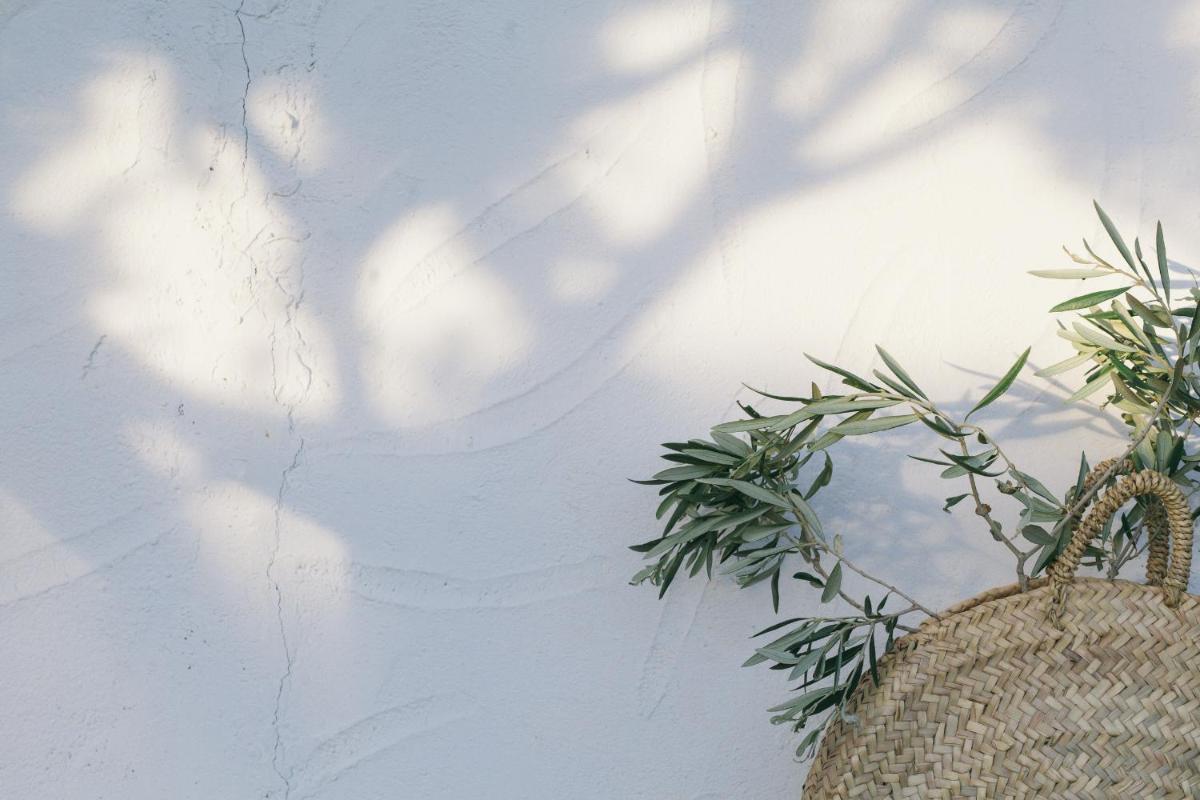 Imagen de la galería de Hotel Ritual de Terra & SPA, en Jávea