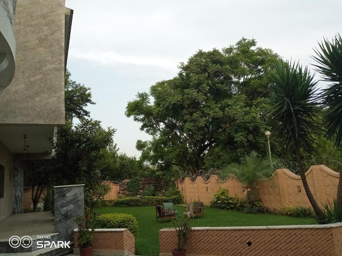 Cosmos Guest House - Housity