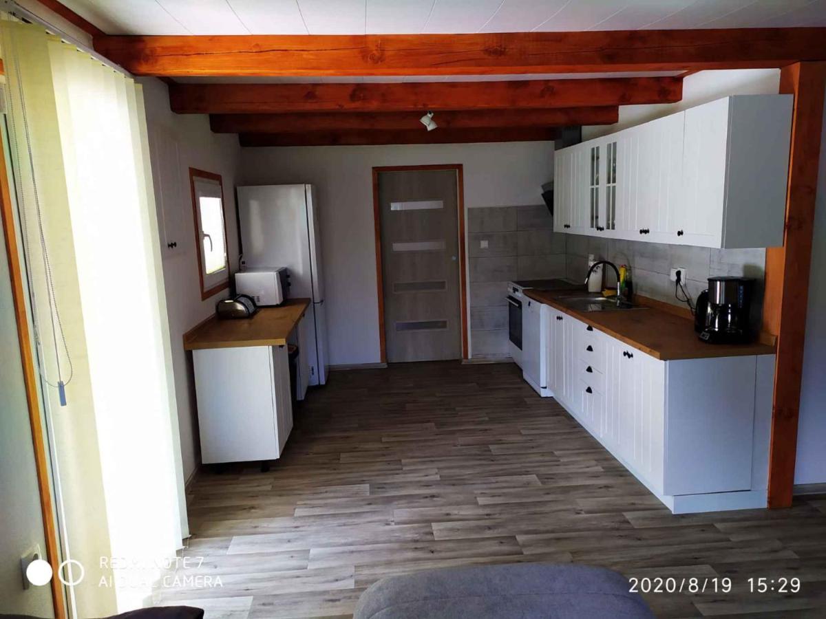 Holiday home in Svahova - Erzgebirge 41640 - Housity