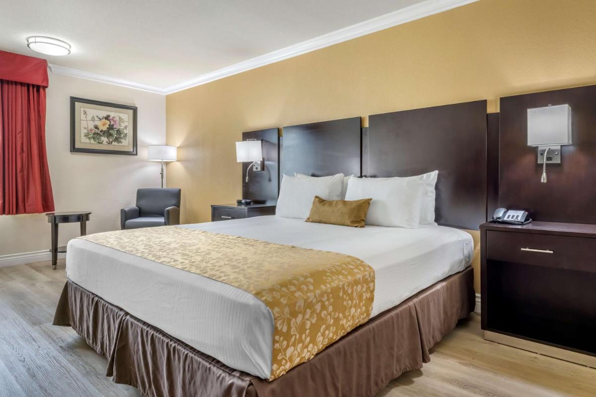 Best Western Plus South Bay Hotel - Housity