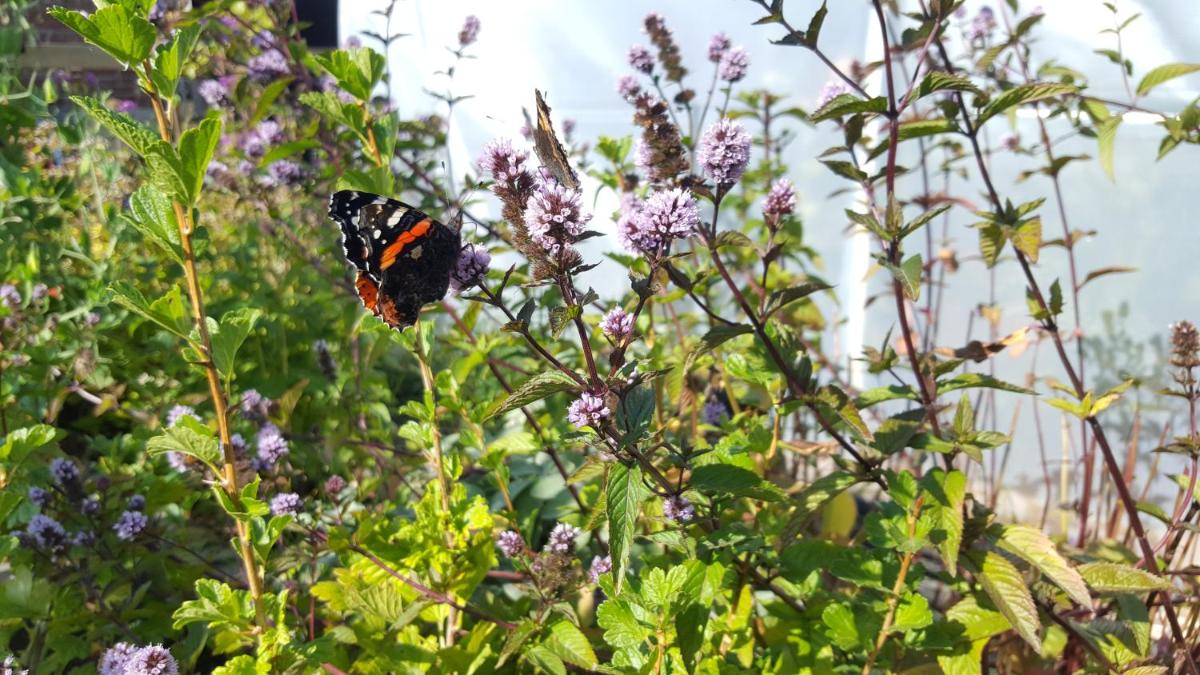 Kennels Cottage by Eco Indigo - Housity