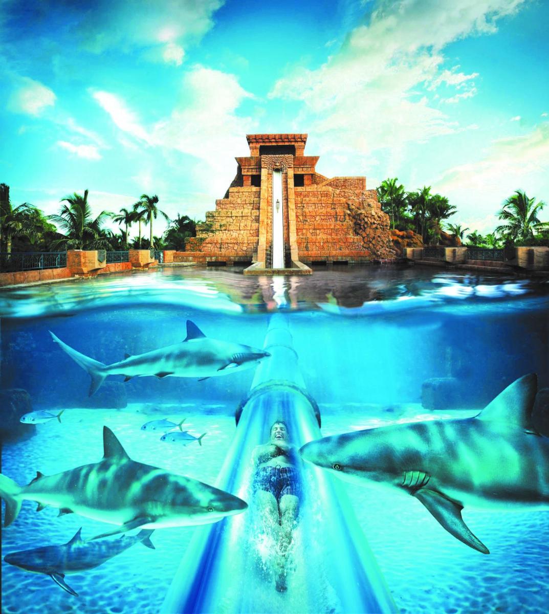 Comfort Suites Paradise Island - Housity