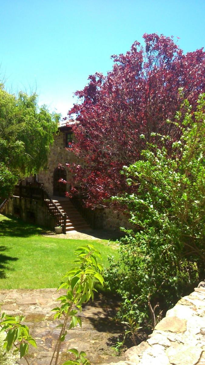 Casa Rómulo - Housity