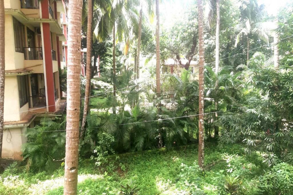 Mango Apartment @ Palolem Garden Estate - Housity