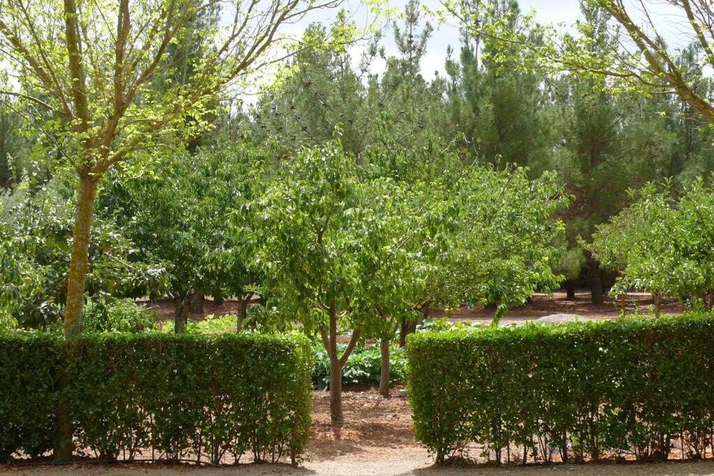 Casa en el campo con encanto - Housity
