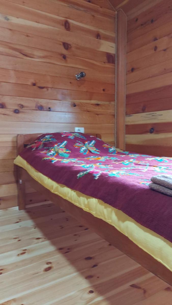 Log cabin 1 Merdovic - Housity