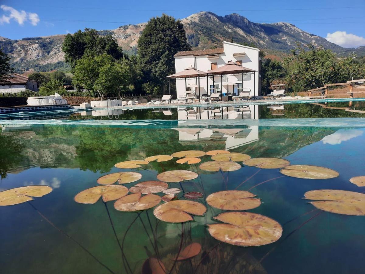 Agriturismo Albero del Miele - Housity