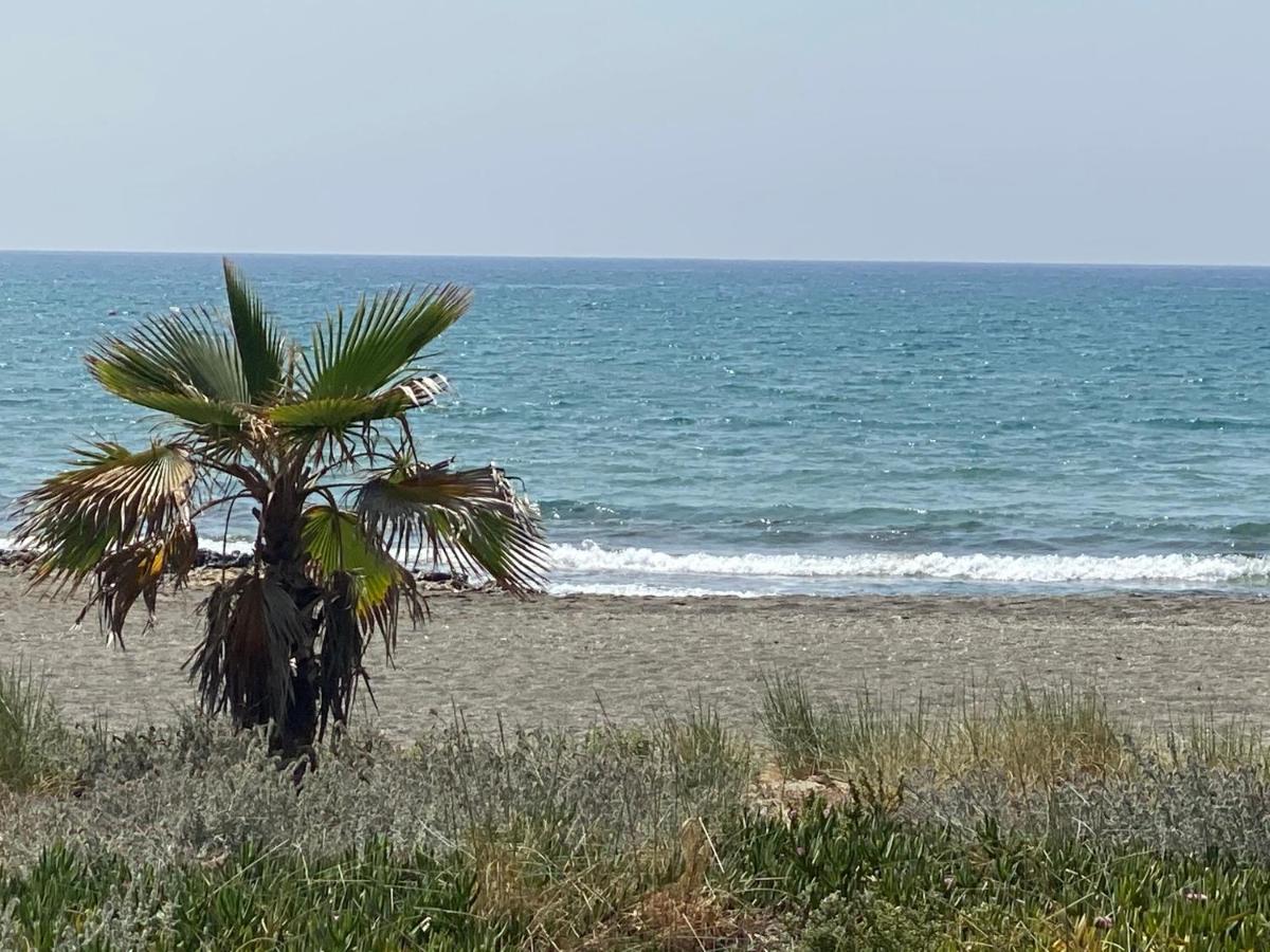 ANDREAS APARTMENTS - Housity