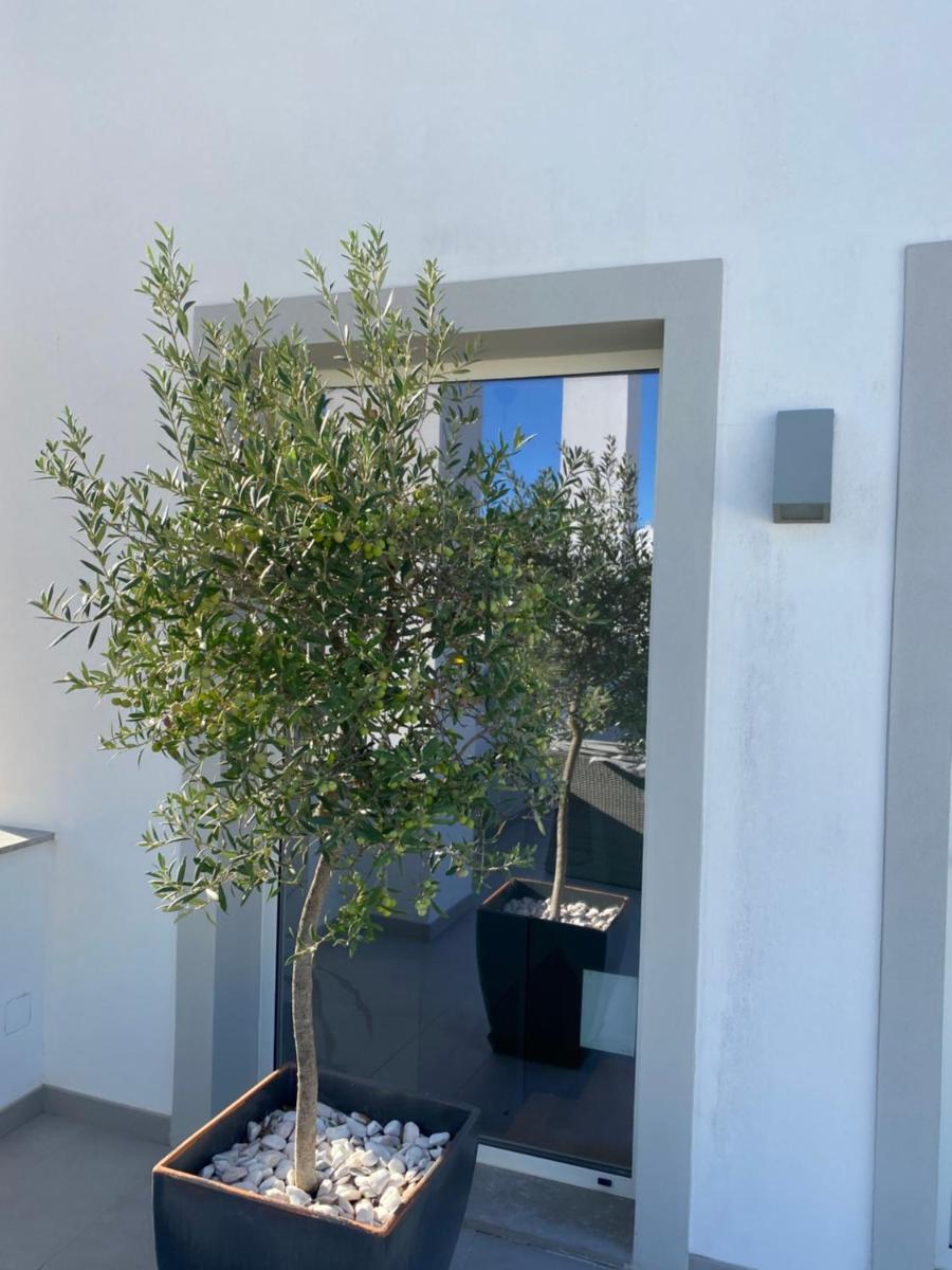 Slow House d'Arco - Housity