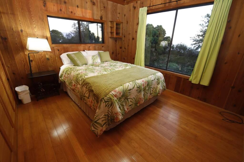 Kona Mamaki House - Entire house - Housity