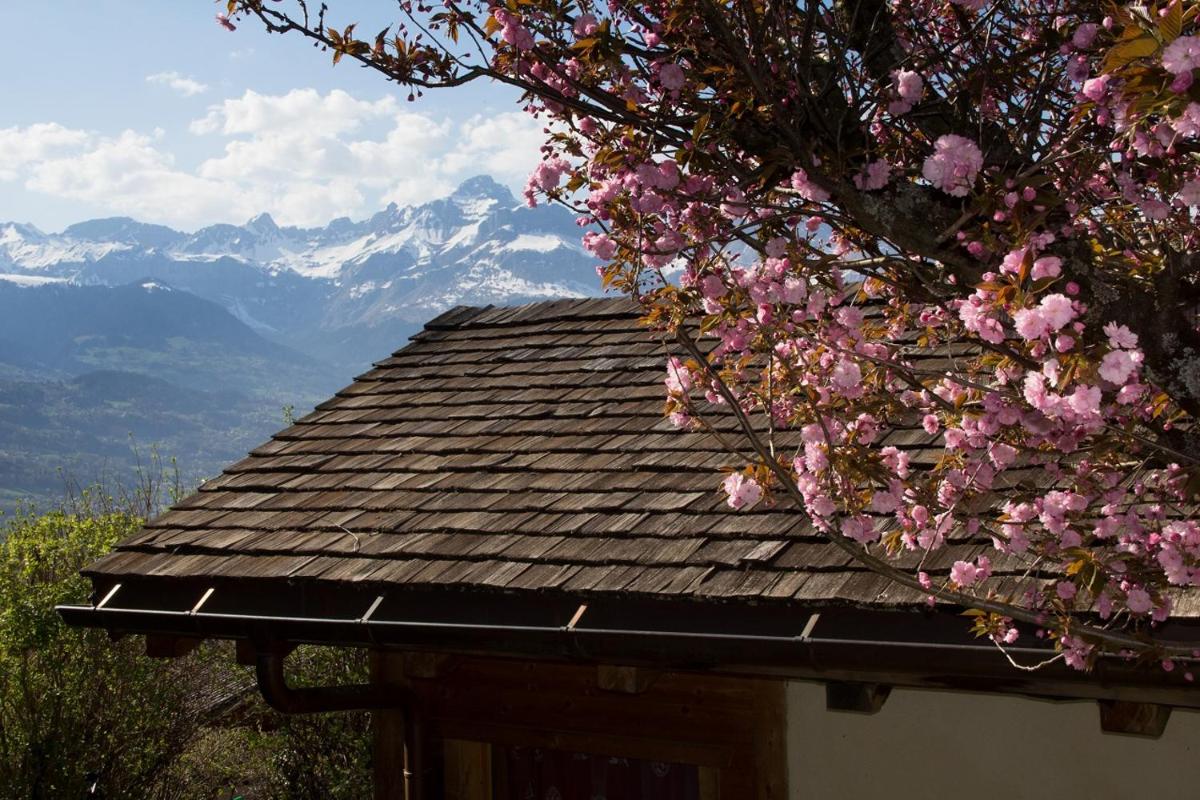 Chalet cosy proche Tramway du Mont-Blanc et centre - Housity