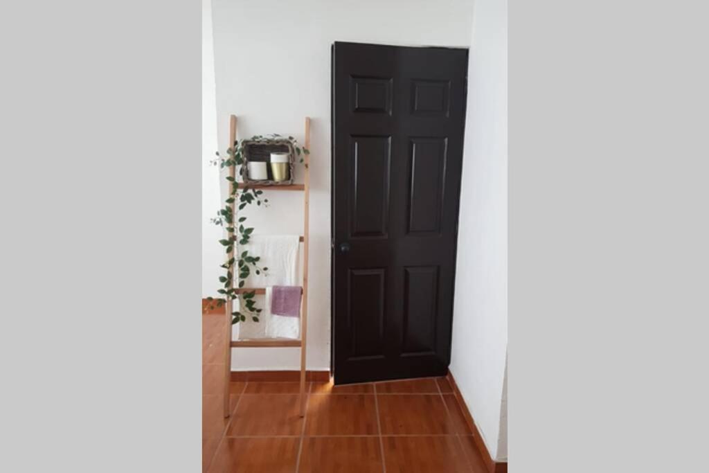 Casa Andrea Cuernavaca - Housity