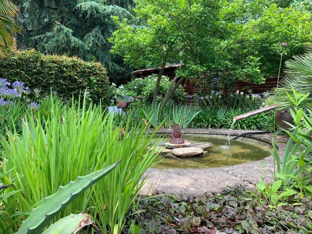 Maison en pierre dans son nid de verdure - Housity