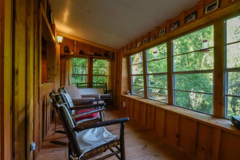 The Tulip Poplar - Housity